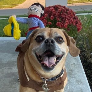 Meet your Posher, Chrissy kernels